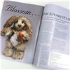 Image 6 : 16 - UK TEDDY BEAR SCENE MAGAZINE LOT - ENGLAND