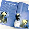 Image 7 : 16 - UK TEDDY BEAR SCENE MAGAZINE LOT - ENGLAND