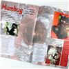 Image 8 : 16 - UK TEDDY BEAR SCENE MAGAZINE LOT - ENGLAND
