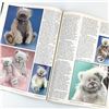 Image 18 : 16 - TEDDY BEAR & FRIENDS CRAFT MAGAZINE LOT
