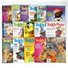 Image 1 : 16 - TEDDY BEAR & FRIENDS CRAFT MAGAZINE LOT