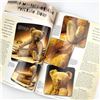 Image 6 : 16 - TEDDY BEAR & FRIENDS CRAFT MAGAZINE LOT