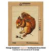 Image 1 : VINTAGE SQUIRREL NEEDLEPOINT CROSS STITCH PICTURE
