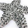 Image 4 : 15” METAL STARFISH ART SCULPTURE - 3.64 LBS (1.65 KG)