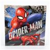 Image 2 : 2 MARVEL SPIDER-MAN COMIC WALL ART PICTURES