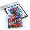 Image 5 : 2 MARVEL SPIDER-MAN COMIC WALL ART PICTURES