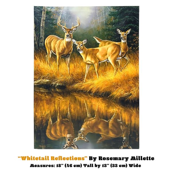 ROSEMARY MILLETTE WHITETAIL REFLECTIONS - CANVAS