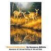 Image 1 : ROSEMARY MILLETTE WHITETAIL REFLECTIONS - CANVAS