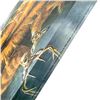 Image 4 : ROSEMARY MILLETTE WHITETAIL REFLECTIONS - CANVAS