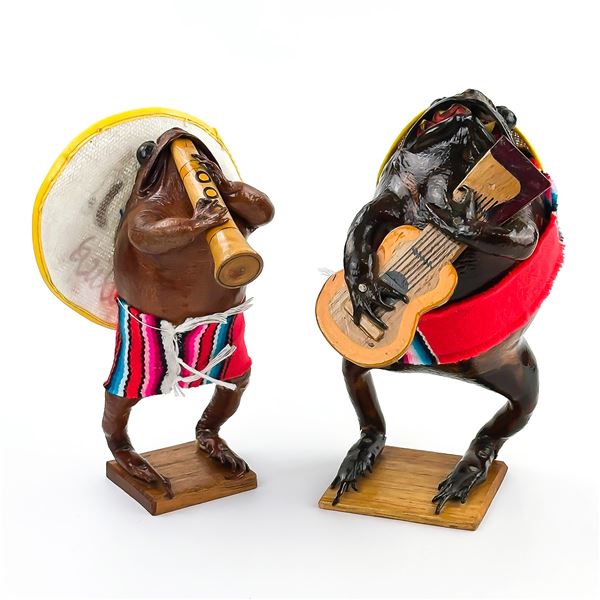 MEXICO TAXIDERMY FROGS & MUSICAL INSTRUMENTS