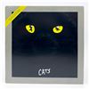 Image 1 : ANDREW LLOYD WEBBER - CATS BROADWAY RECORDING