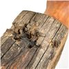 Image 10 : WOODEN VASE TREE ART SCULPTURE BY H. BISWANGER