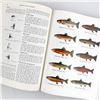 Image 12 : VINTAGE 1964 NEW FISHERMAN’S ENCYCLOPEDIA BOOK