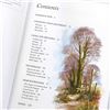 Image 5 : PAINTING LANDSCAPES - BRUSH WITH WATERCOLOUR