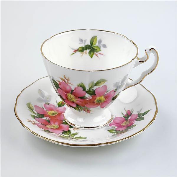 ROYAL ADDERLEY TEA CUP & SAUCER SET - PRAIRIE ROSE