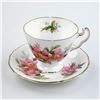 Image 1 : ROYAL ADDERLEY TEA CUP & SAUCER SET - PRAIRIE ROSE