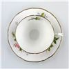 Image 7 : ROYAL ADDERLEY TEA CUP & SAUCER SET - PRAIRIE ROSE