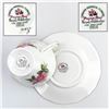 Image 9 : ROYAL ADDERLEY TEA CUP & SAUCER SET - PRAIRIE ROSE