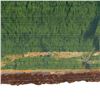 Image 9 : 67" Say Pepsi Please Embossed SST Advertising Sign