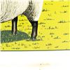 Image 5 : Suffolk Sheep Dealer Double Sided Advertising Sign
