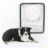 Image 2 : Kendall Motor Oil Double Sided Curbside Sign