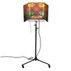 Image 3 : Multi Colored Adjustable Photography Floor Lamp