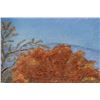 Image 3 : WESTERN LAND SCAPE (MAL)