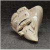 Image 5 : INUIT BILLIKEN