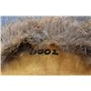 Image 6 : WOODLAND MITTENS