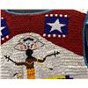 Image 3 : APACHE VEST