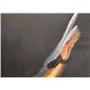 Image 4 : HOPI PAINTING (RAYMOND NAHA)