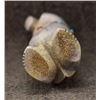 Image 6 : ZUNI ANTLER FETISH