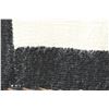 Image 5 : NAVAJO TEXTILE (DELLA TOUGLACHEE)