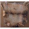 Image 10 : PLAINS PAINTED ELK HIDE
