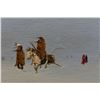Image 2 : SEMINOLE PAINTING (RANDY WOOD)