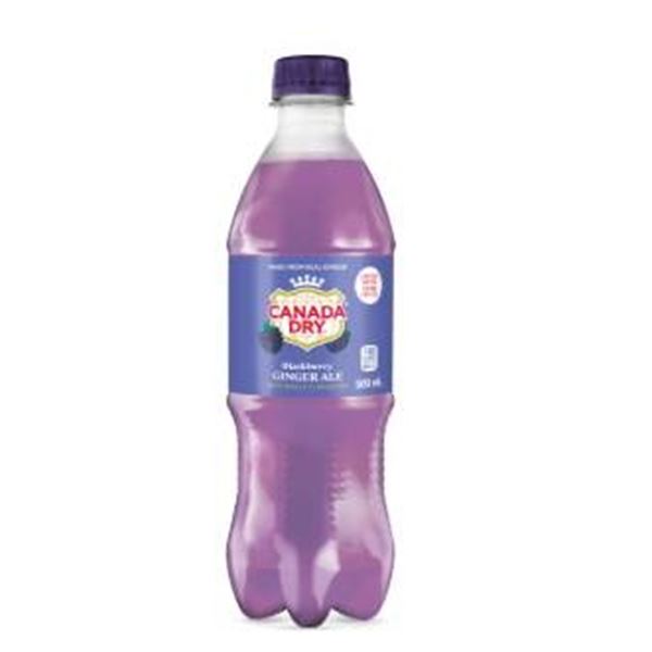 Canada Dry Blackberry Ginger Ale 24 Bottles of 500ml Each