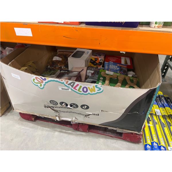 Mixed Pallet Lot of Miscellaneous Items Including Pet Supplies, Clothing, and Decor