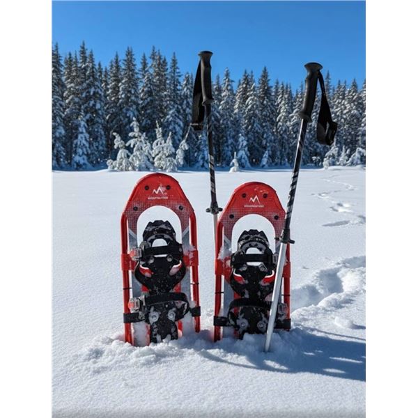 Faber 826 Snowshoes with Poles – Model 826, Up to 200 lb Capacity **Colors May Vary**