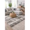 Image 1 : Cam Living Rosedale Super Soft Touch Area Rug Roll – Gray/White Mix