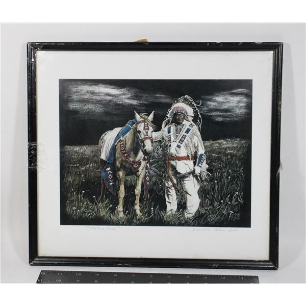 NATIVE PRIDE PICTURE IN 12X13 FRAME