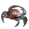 Image 1 : Dungeness Crab