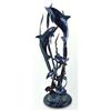 Image 1 : Dolphin SeaWorld Seascape