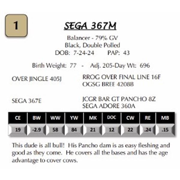 SEGA 367M