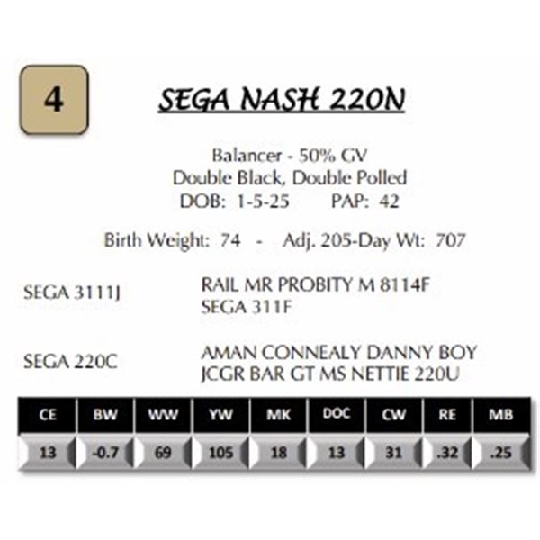 SEGA NASH 220N