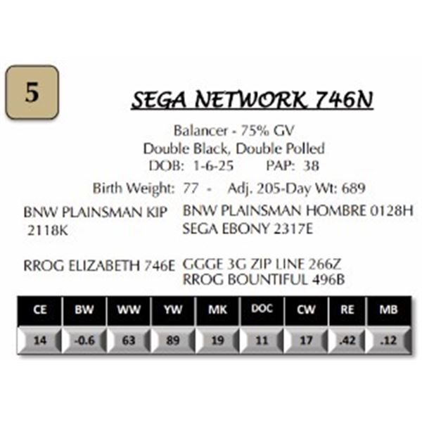 SEGA NETWORK 746N