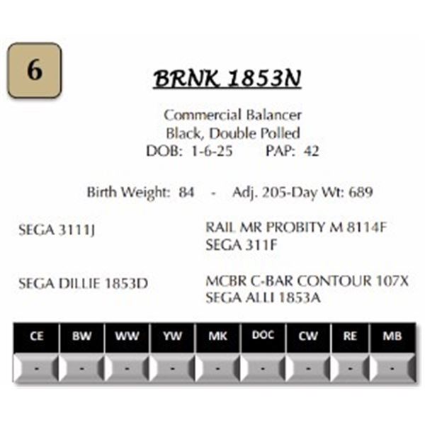 BRNK 1853N