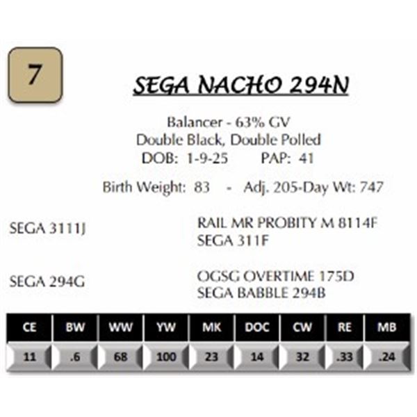 SEGA NACHO 294N