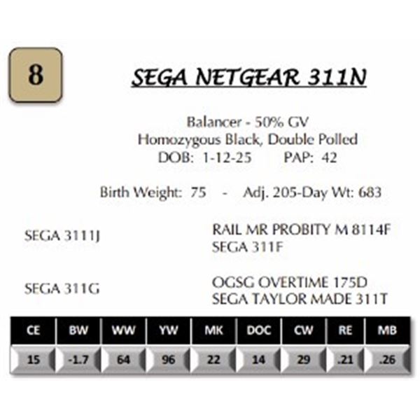 SEGA NETGEAR 311N