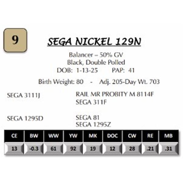 SEGA NICKEL 129N