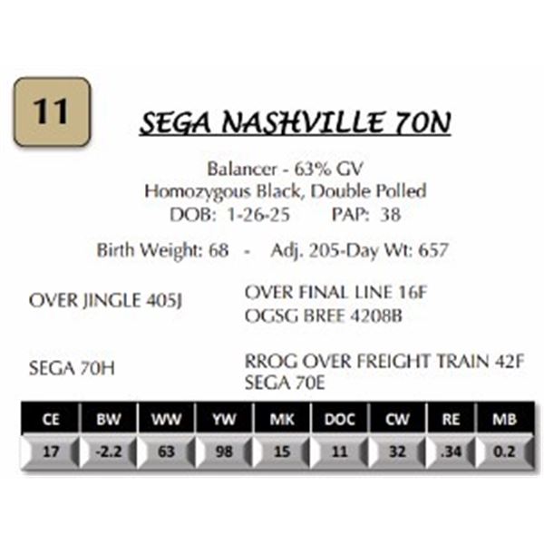SEGA NASHVILLE 70N